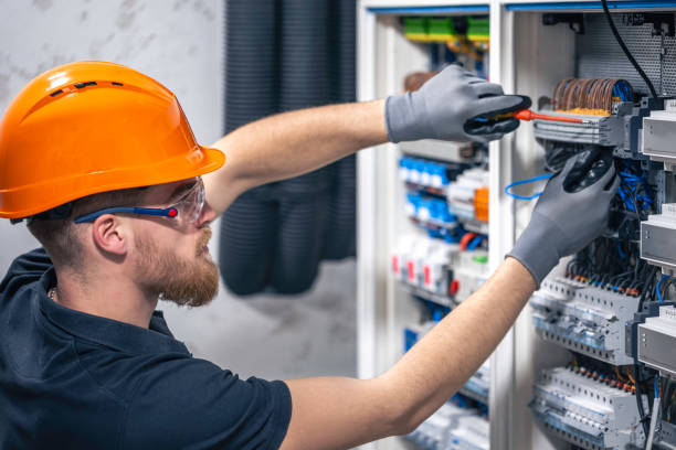 Best Electric Panel Repair  in Lo, HI